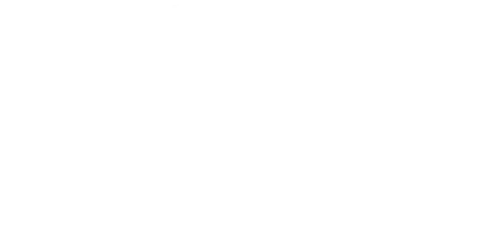 Carrier